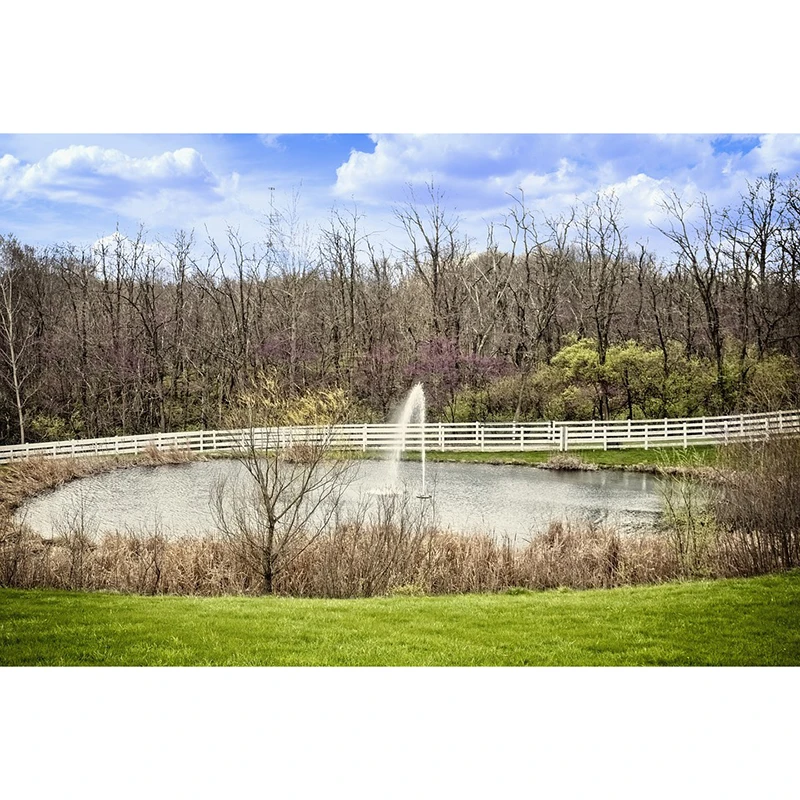 pond-2681858_960_720