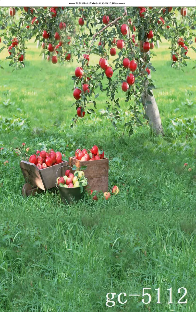 

3*5M Art Cloth Custom Photography Backdrops Prop Indoor theme Studio Background GC-5112