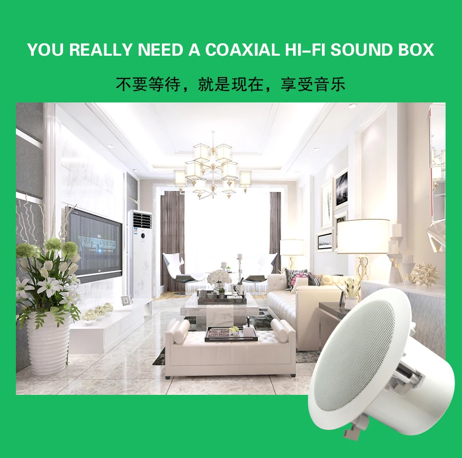 ceiling speaker (2)