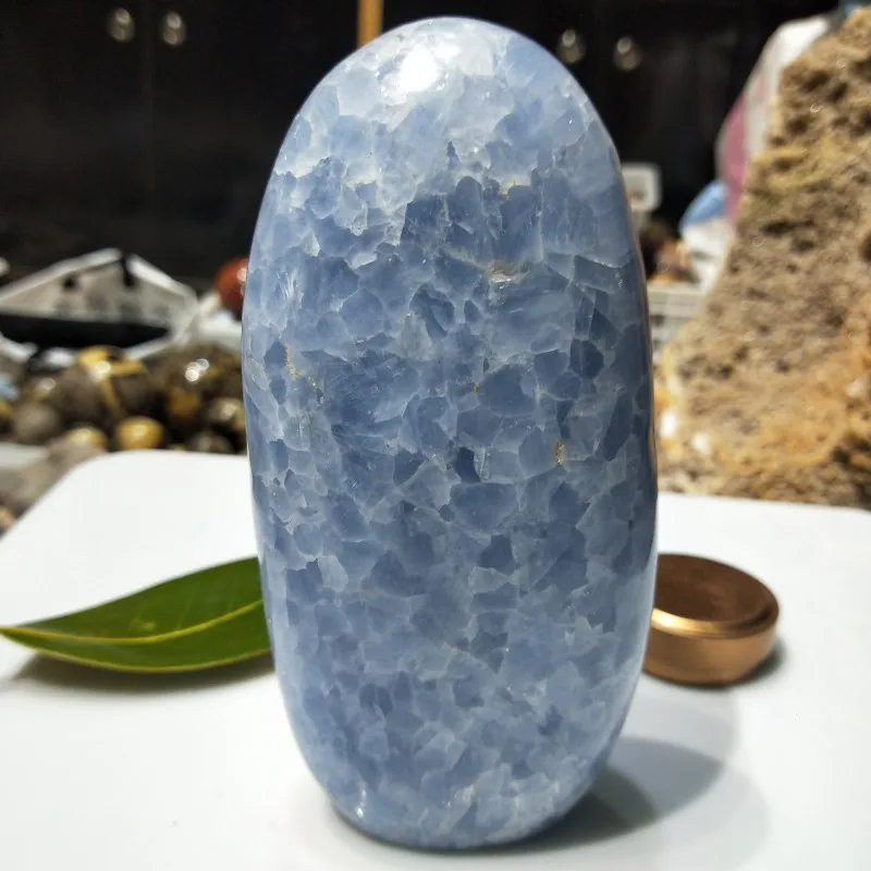 conew_img20190309152239