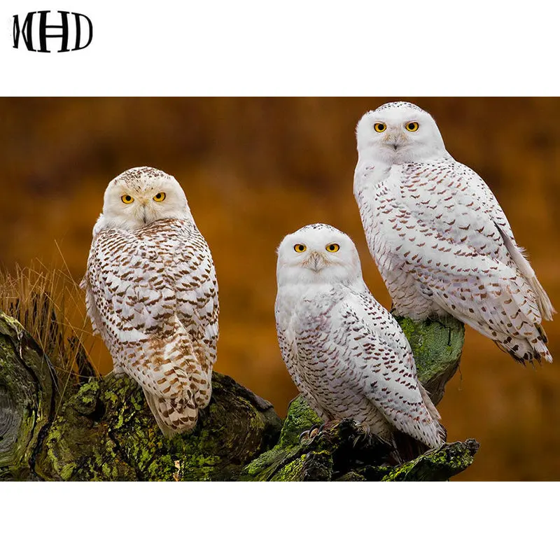 MHD Owl 3d Diamond Embroidery Animal Crystal Decoration Full Square &amp Round 5d diy Painting Cross Stitch Mosaics Sewing | Дом и сад