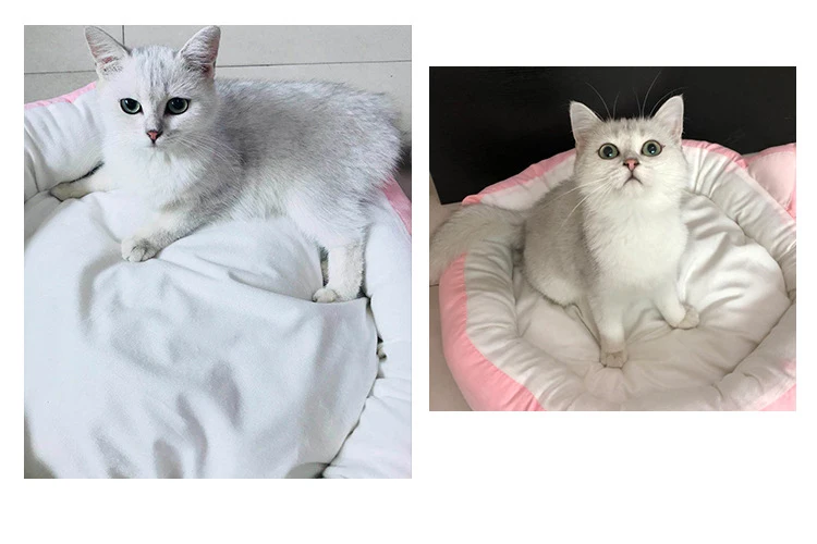 9177149079_347649764