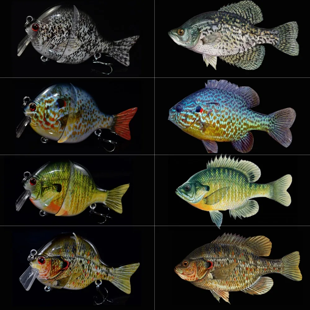 fish colors