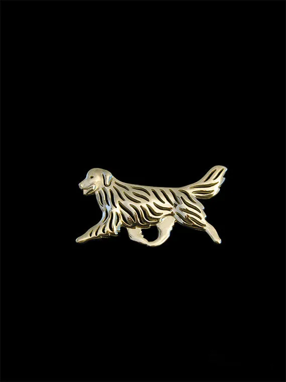 Golden Retriever movement1