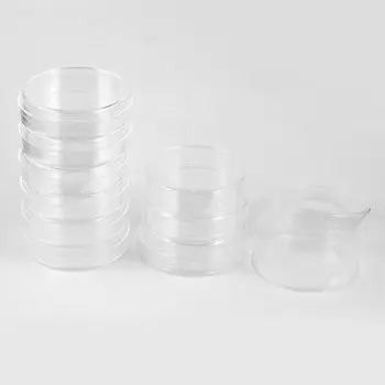 

10 Pieces 90mm Diameter Cylinder Shape Clear Plastic Cell Culture Dish