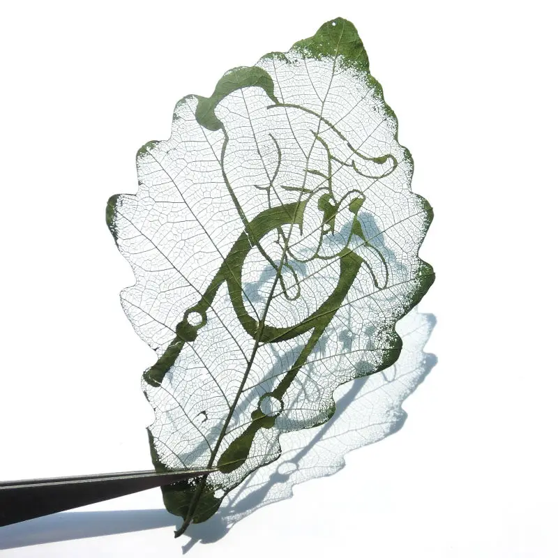 Yaprak Oyma Bergamot Yaprak Oyma Boyama Glauca Yaprak Boyama Budist Dogum Gunu Hatira Imi Yurtdisinda Hediye Ozgunluk Souvenir Bookmark Gifts Bookmarksoriginal Bookmarks Aliexpress