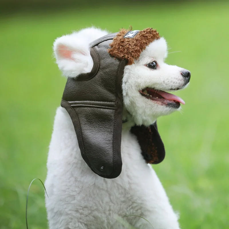 

Winter Warm Pet Dogs Hat Puppy Warm Comfortable Handsome Poilt Cap Autumn Winter Cashmere