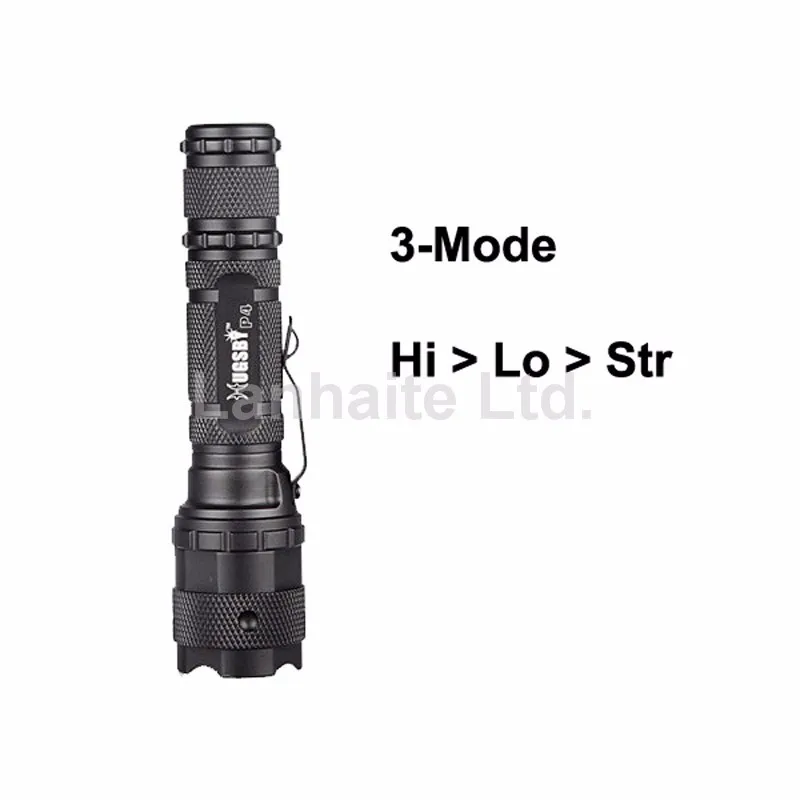 S024631-5