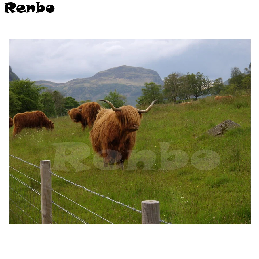 

Full 5D Diy Diamond Painting Cross Stitch "Highland cow" Diamond Embroidery Rhinestones Decoration Home Mosaic Stickers B35