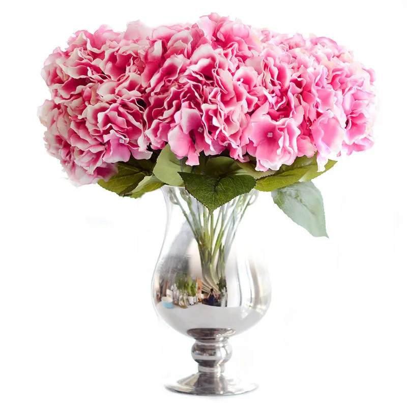 ZS461Darkpink (1)_