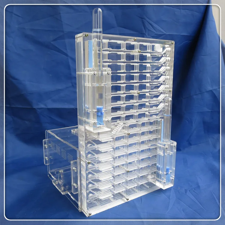 BIG VILLA moisture with feeding area ant nest ant farm acryl insect ant nests villa font