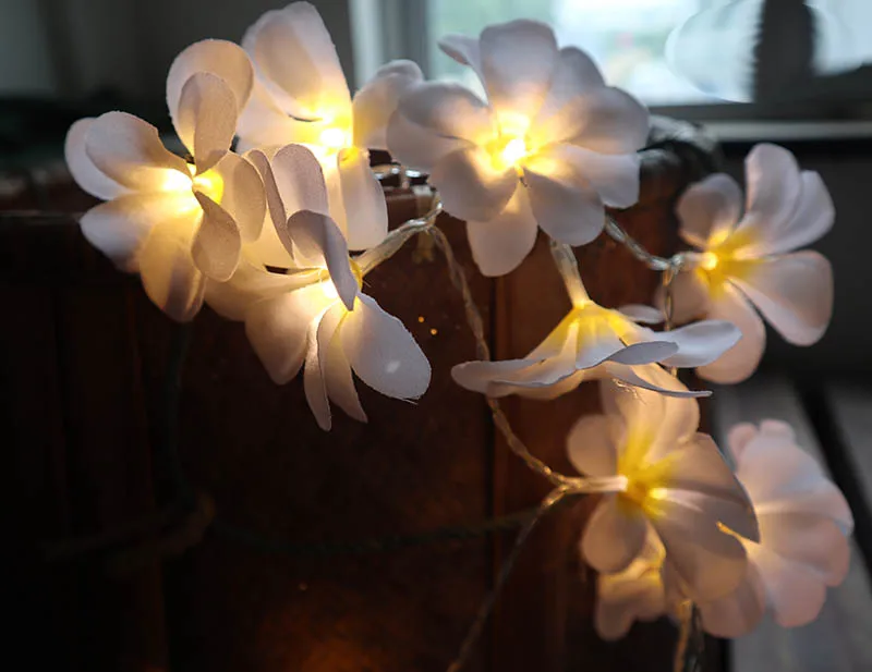 Creative DIY frangipani LED String Lights Battery floral holiday lighting, Event Party garland decoration,Bedroom decoration Creative DIY frangipani LED String Lights Battery floral holiday lighting, Event Party garland decoration,Bedroom decoration