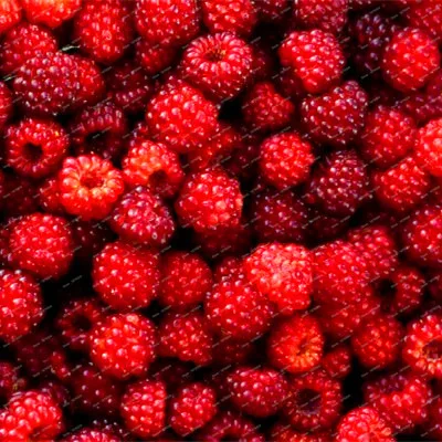 100 шт./пакет Редкие Raspberry flores подлинный дикий зеленого, красного, голубого, фиолетового и черного цвета Raspberry растения для сада-бонсай фрукты искусственные растения план - Цвет: Светло-зеленый