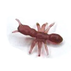 Моделирование пластиковые мини-игрушки Хэллоуин смешные насекомые Joking игрушка Жук игрушечный муравей для детей Подарки