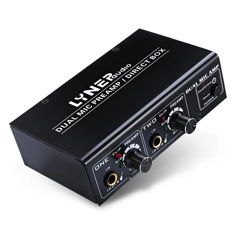 2 Way Microphone Amplifier Electric Guitar Bass Amp US