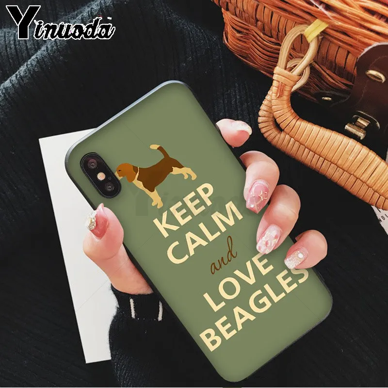 All kinds of posts of beagle