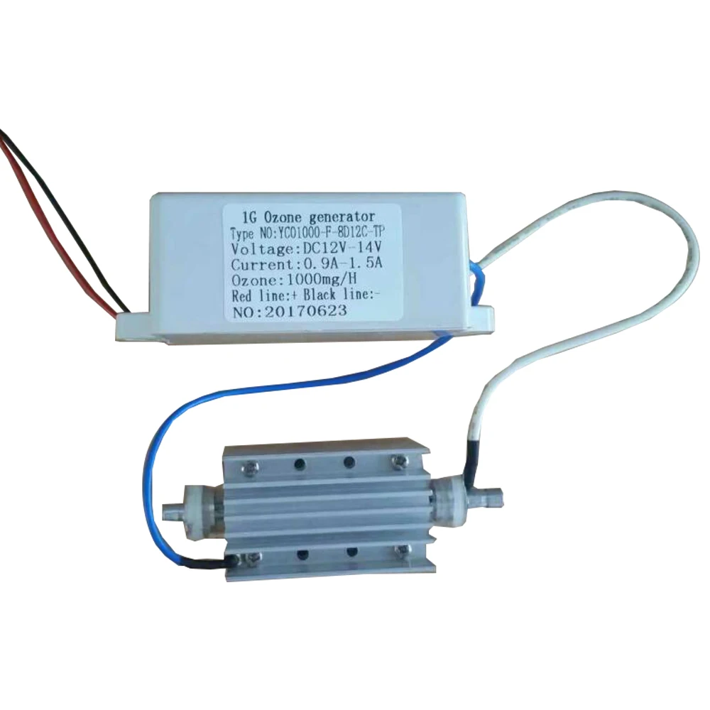1g DC12V