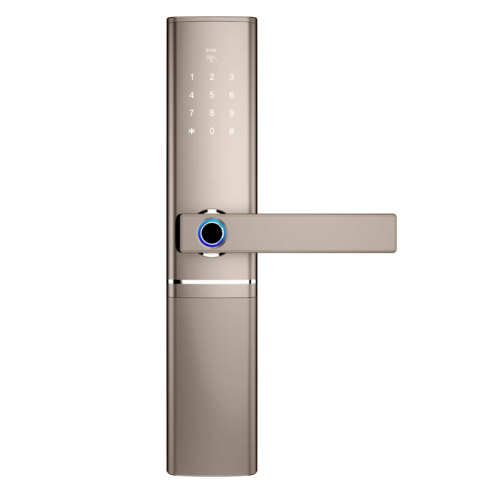 Hot Deal Biometric Fingerprint Lock Electronic Security Door Lock