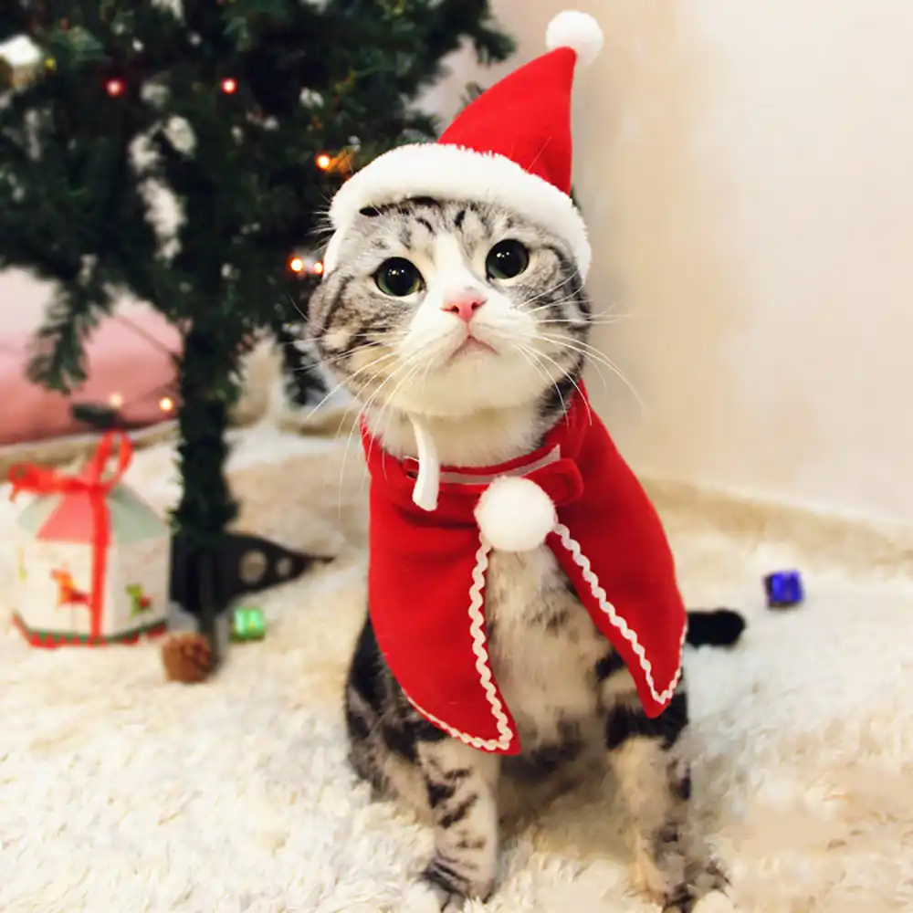 Costumes De Noel Pour Chat Cape Taille Differente Manteau Chapeau En Sarrasin Ensemble Costume Produits Maripey Pour Animaux Domestiques Produit De Noel Pour Chat Et Petit Chien Aliexpress