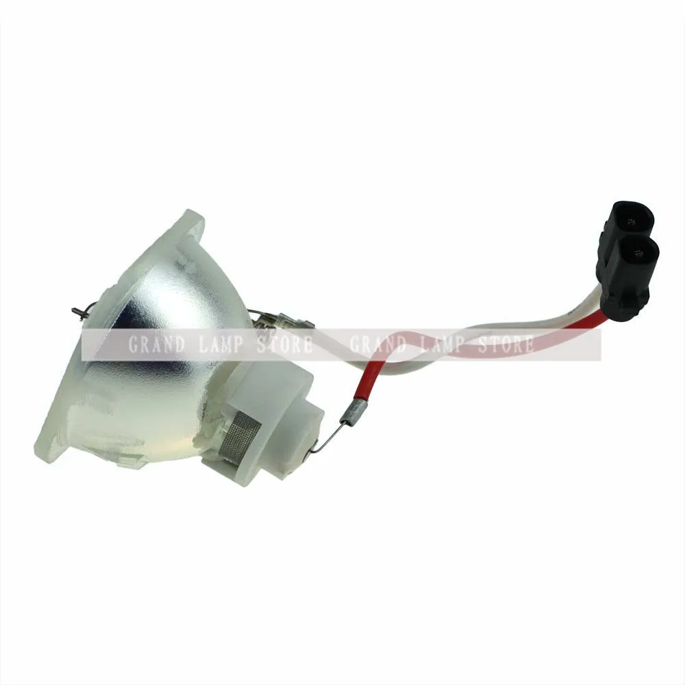 SP-LAMP-019