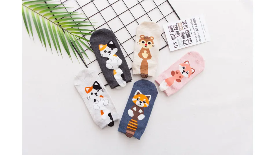 Женские носки до щиколотки незаметные носки с 3D рисунком кота собаки из мультфильма хлопковые короткие носки с низким вырезом милые носки для девочек