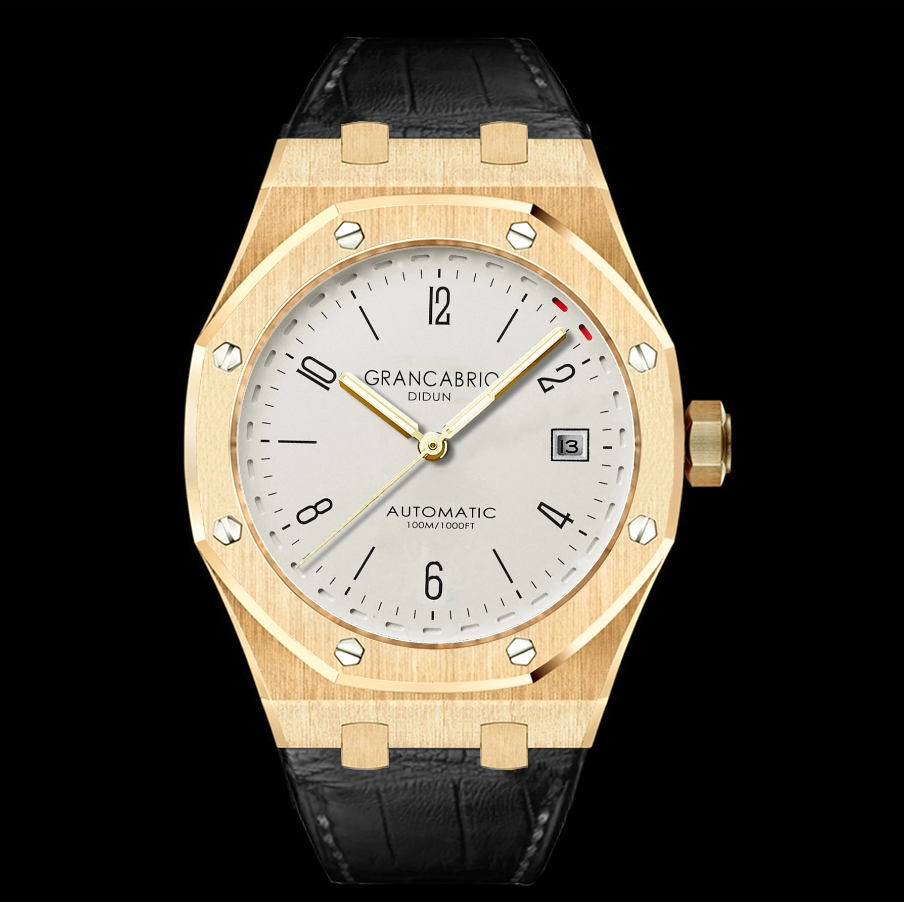 DIDUN watches men mechanical automatic watch top brand luxury watch fashion sports Wristwatches 30 meters waterproof