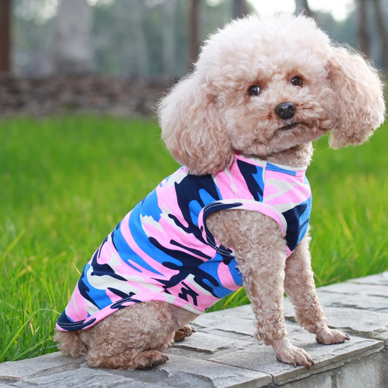 Одежда для собак пальто маленьких и больших кошек хлопковая одежда домашних