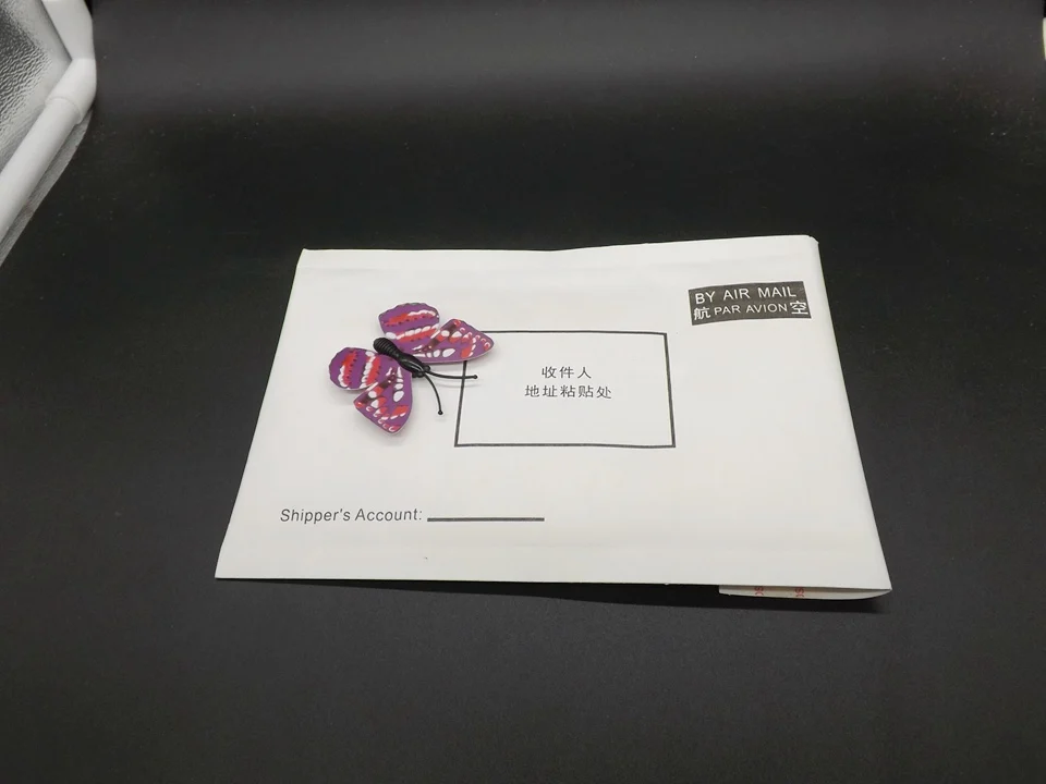 I247-Butterfly (14)