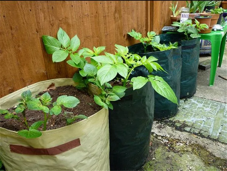 3 unids супер высокое качество DIY садовые декоративные растения на балконе картофель сумки