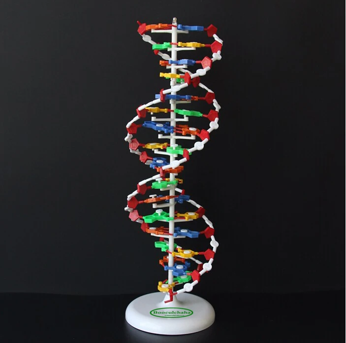 Online Buy Wholesale biology lab instruments from China