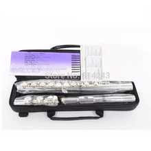 Professional 221 16 C Key holes closed Flute Silver Plated Musical Instruments Flute With Case and Accessories