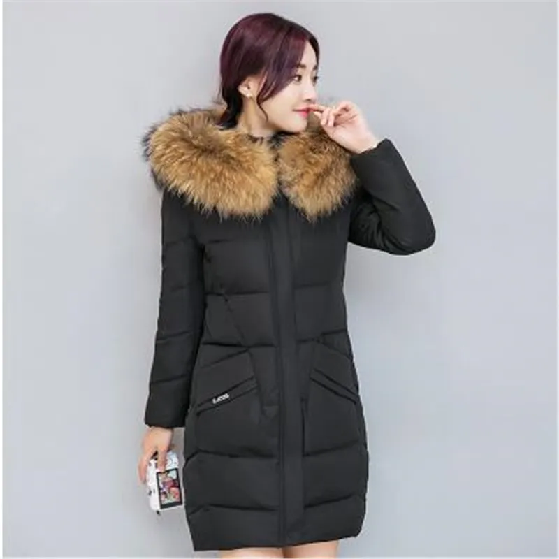 gray Chaud Coréenne La Capuche Hiver Femmes Black De Haut Nouvelles Vêtements Version Coton Kg124yagenz Gamme Dame Épais Veste 2017 x4IUqp