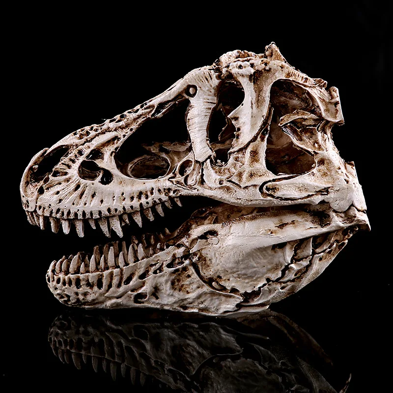 

Tyrannous Dragon Bone Dinosaur Specimen Resin Handicraft Resin Skull
