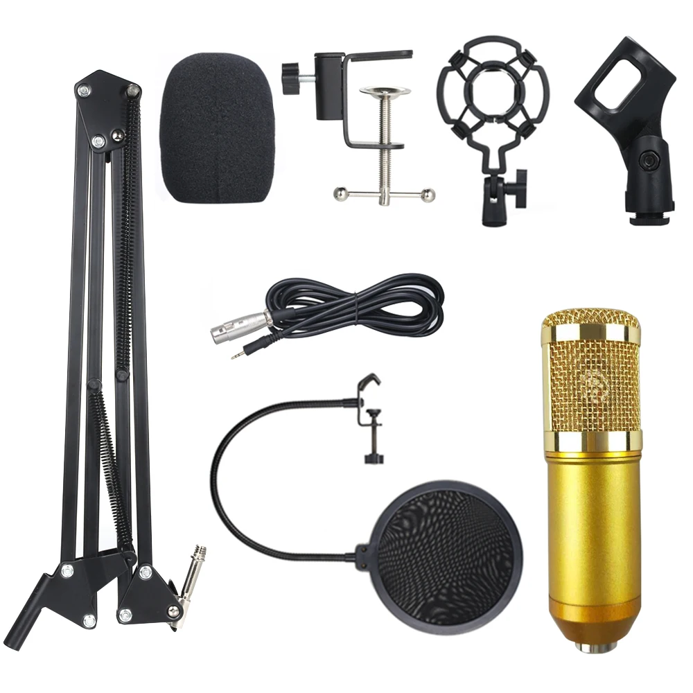 ZINGYOU BM-800 Condenser Microphone Bundle for Studio Recording &  Brocasting (Black)