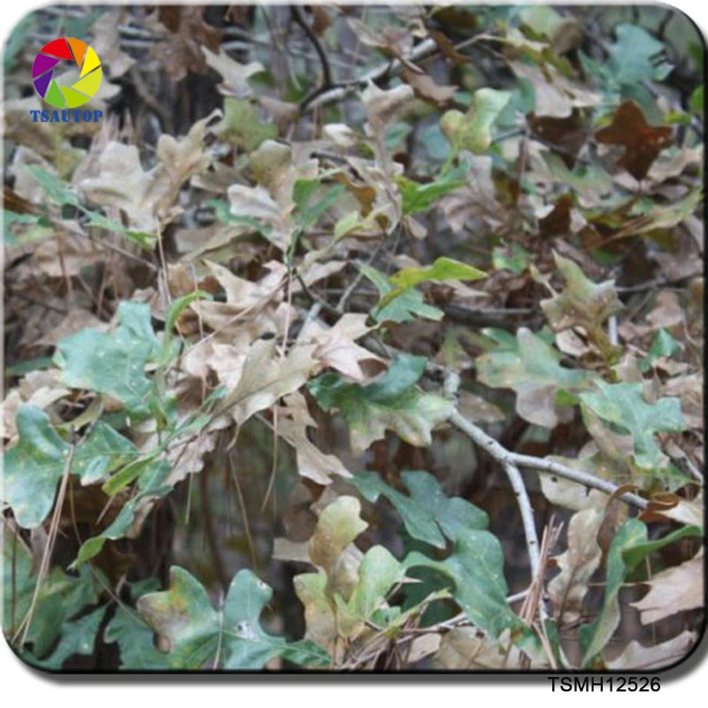 

Free shipping TSAUTOP Size 0.5m x 2m/10m realtree water transfer hydrographic film transfer aquaprint wdf12526