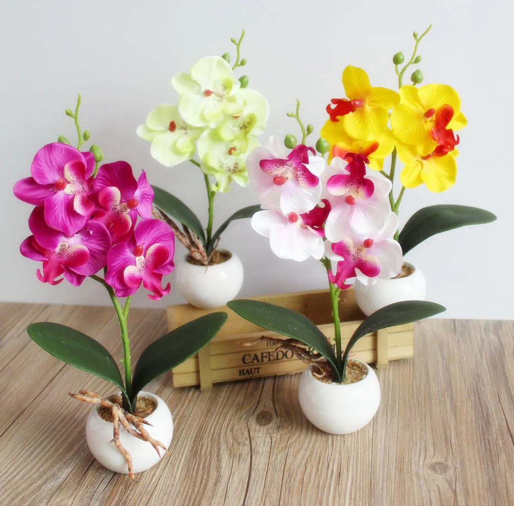 Orchids With Vase Small Size Desktop Orchids Bonsai Flower Arrangment