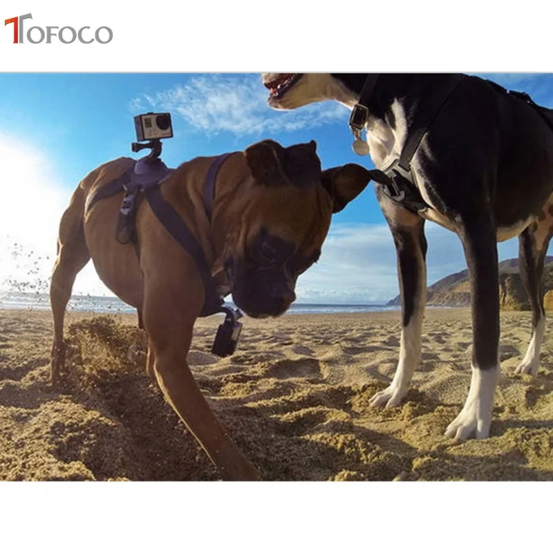 2017 TOFOCO крепление на собаку для камеры Go pro Hero 4 Hero3 +/3/SJ4000|dog mount|strap mountchest strap mount |