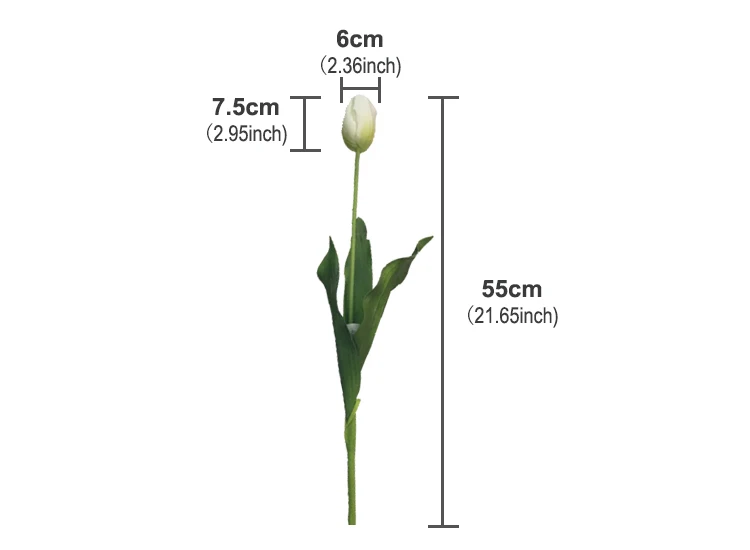 06 Product Parameter