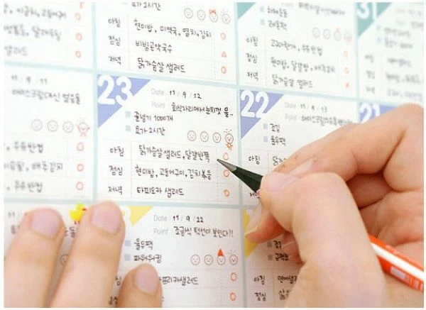 50pcs Lot Korean Style D Day Plan 100 Days Countdown Schedule Planner To Do List Time Management Notebook 0070 Notebook Motherboard Notebook Vaionotebook Mirror Aliexpress