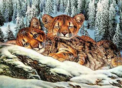 

Free shipping hot sales Middle size gobelin tapestry, Lovely Lions fabric picture,Wall hanging Fabric Pictures