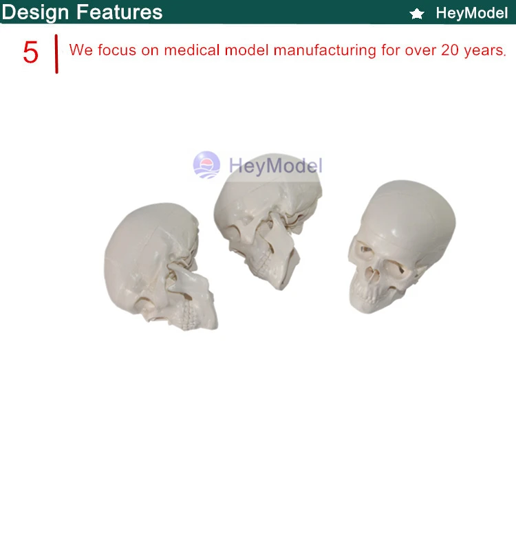 5._