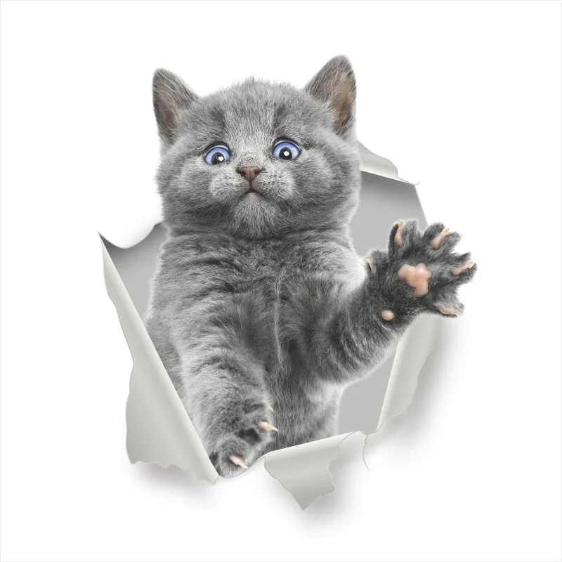 3d яркий отверстие кошка собака стикер стены Ванная комната Туалет Детская