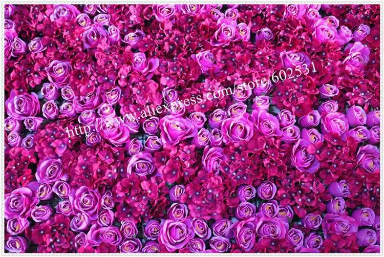 plum (7).JPG