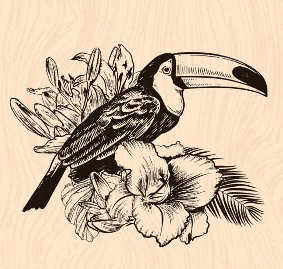 Прозрачная печать Toucan для скрапбукинга своими руками/изготовления карт c534 | Дом и