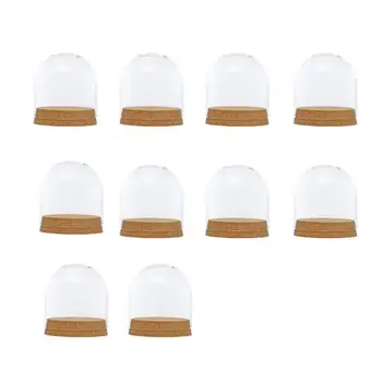 

10Pcs 8x8cm Desktop Glass Dome Cover Shade Shield Cloche Bell Jar Landscape Terrariums with Wood Cork,Dry Flower Vase