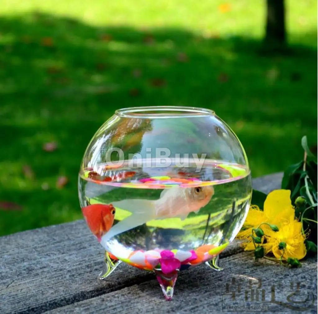 

1 Pcs New Hot Sale Ball Shaped Glass gift Flower Hydroponic Vase Micro Landscape DIY Home Decoration Bottle Terrarium Container