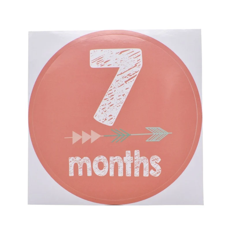 12PCS Baby Monthly Photograph Stickers Novelty 1-12M Milestone Stickers Memo DIY Scrapbook Photo Album Anti-dirty Growth Prop