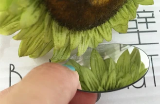 aeProduct.getSubject()