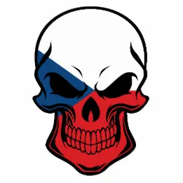 czech_flag_skull_bib-r7bcd4d55d8e3425a8d7e85f1055fa407_zfe0o_260