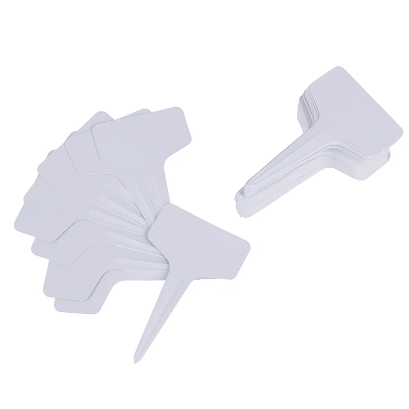 100 Pcs etiquettes De Jardin Classification Des Plantes De Jardinage etiq a1w 1X